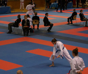 Sophie startet mit der Niseishi auf der Wado EM in Luxemburg